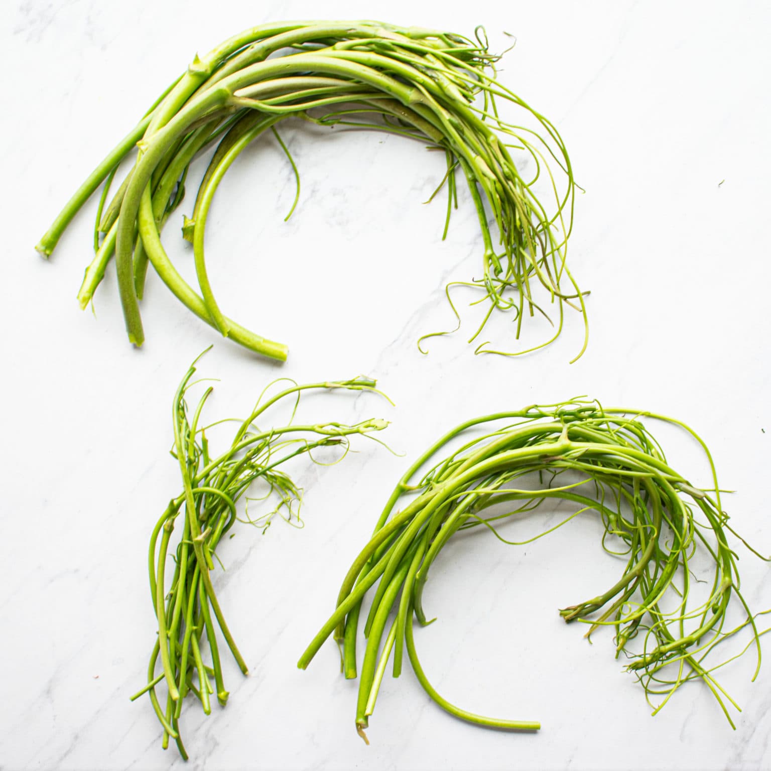 Trim dried ends and discolored tendrils