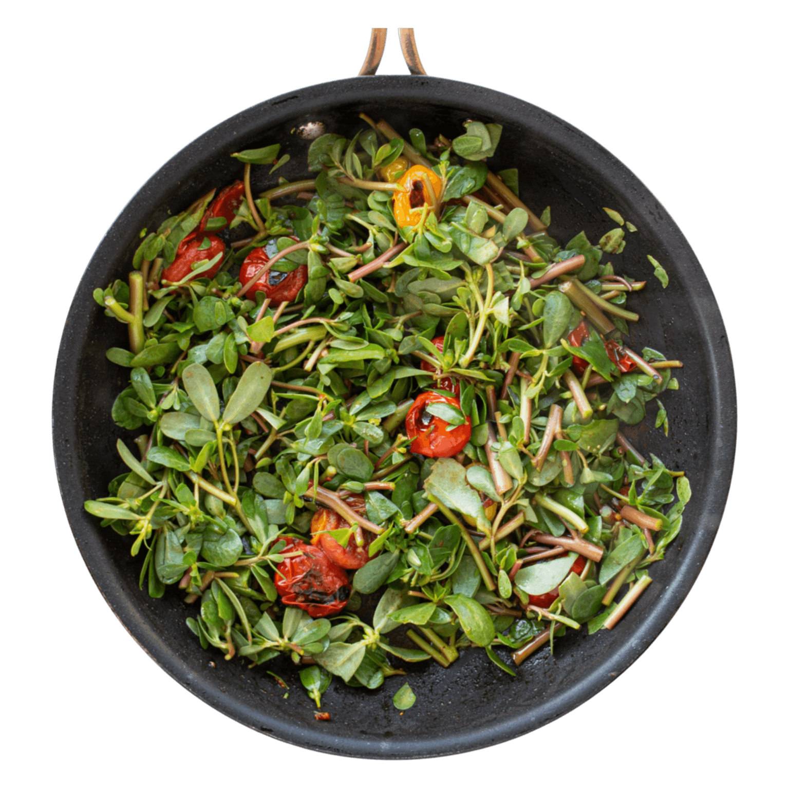 Warm purslane