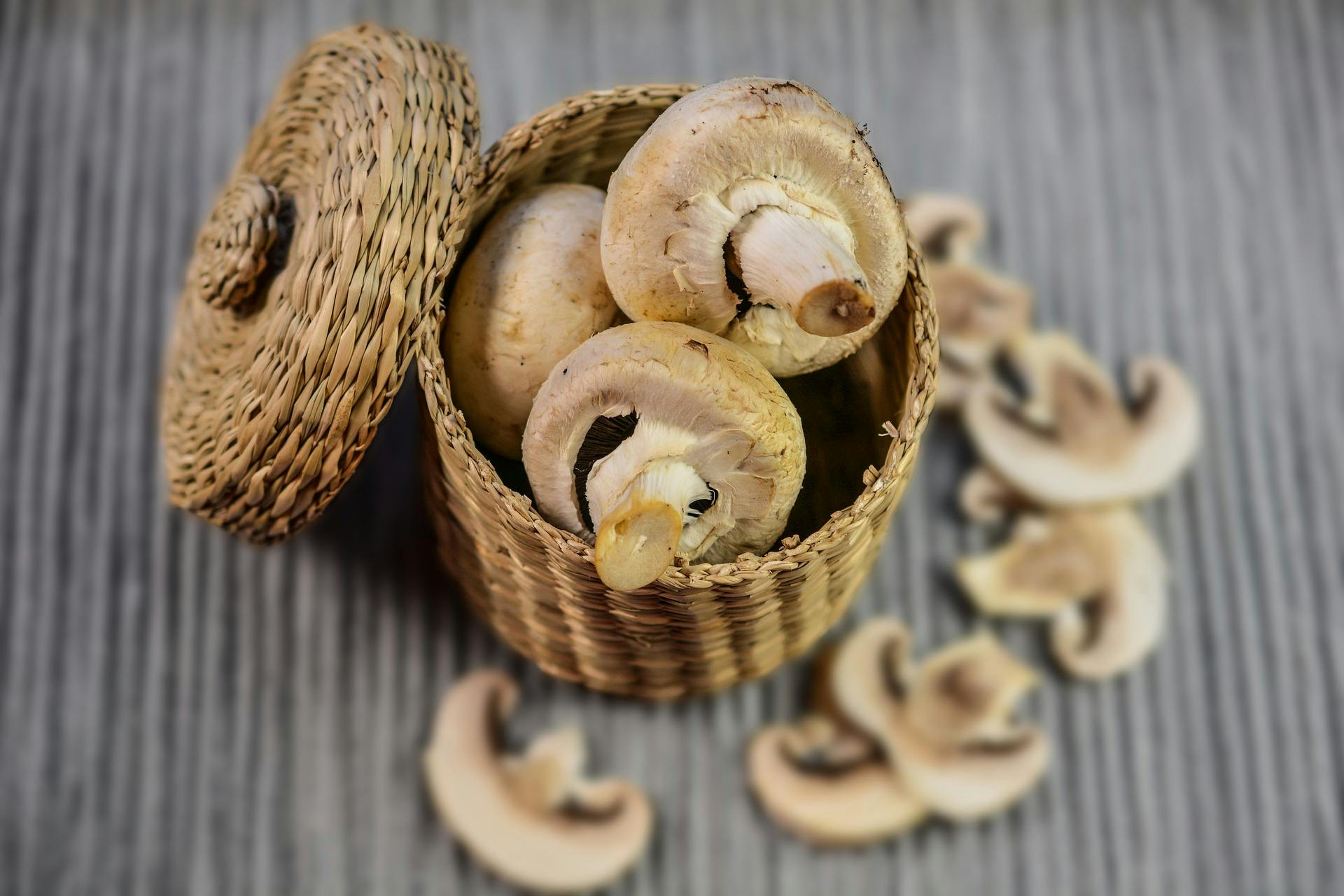 From Spores to Stores: Your Comprehensive Guide on Where to Buy Mushrooms