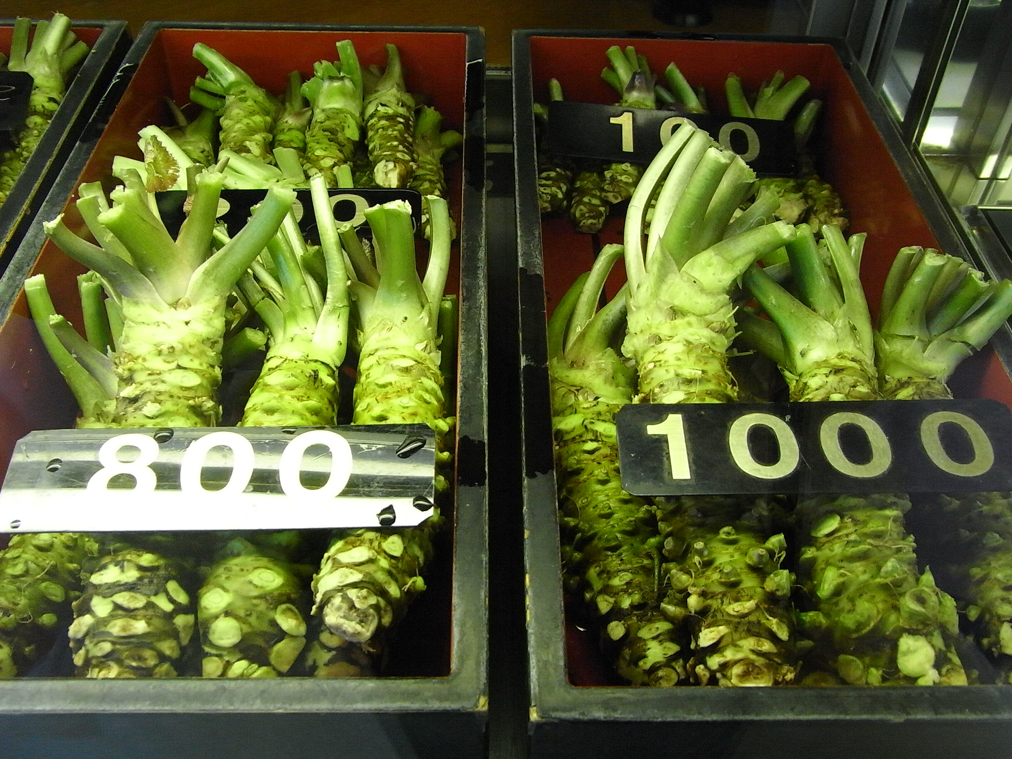 How Much is Wasabi Root? A Comprehensive Guide to Pricing and Quality