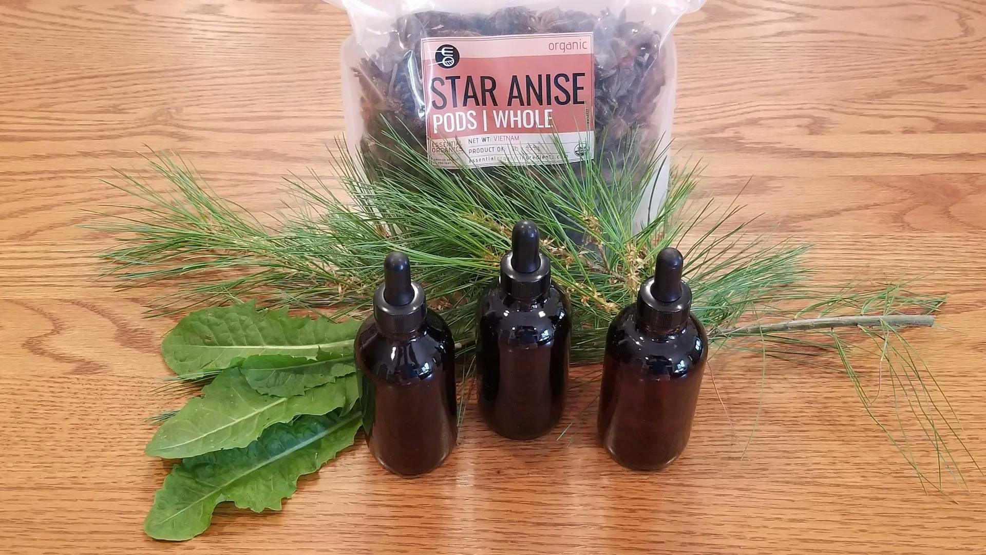 Forest Alchemy How to Make Pine Needle Tincture for Magical Wellness
