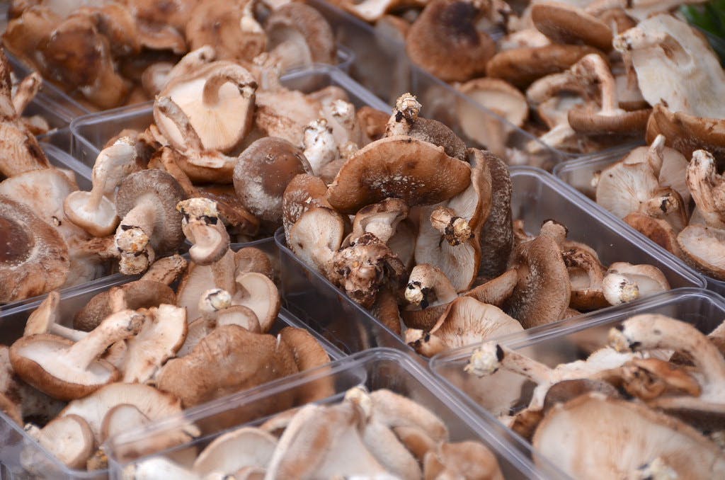 How to Ship Fresh Mushrooms: The Ultimate Guide