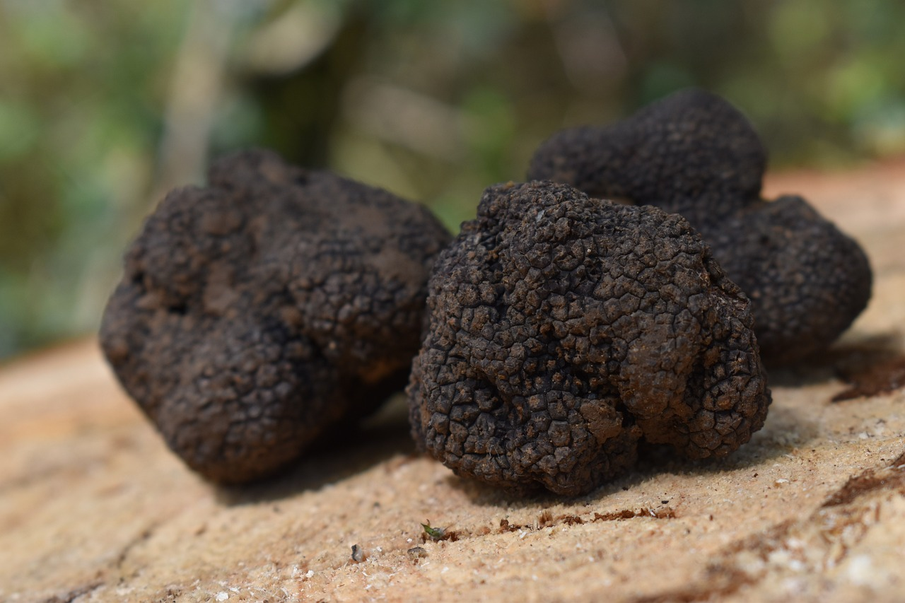 The Top 5 Ways to Sell Truffles at Farmers Markets