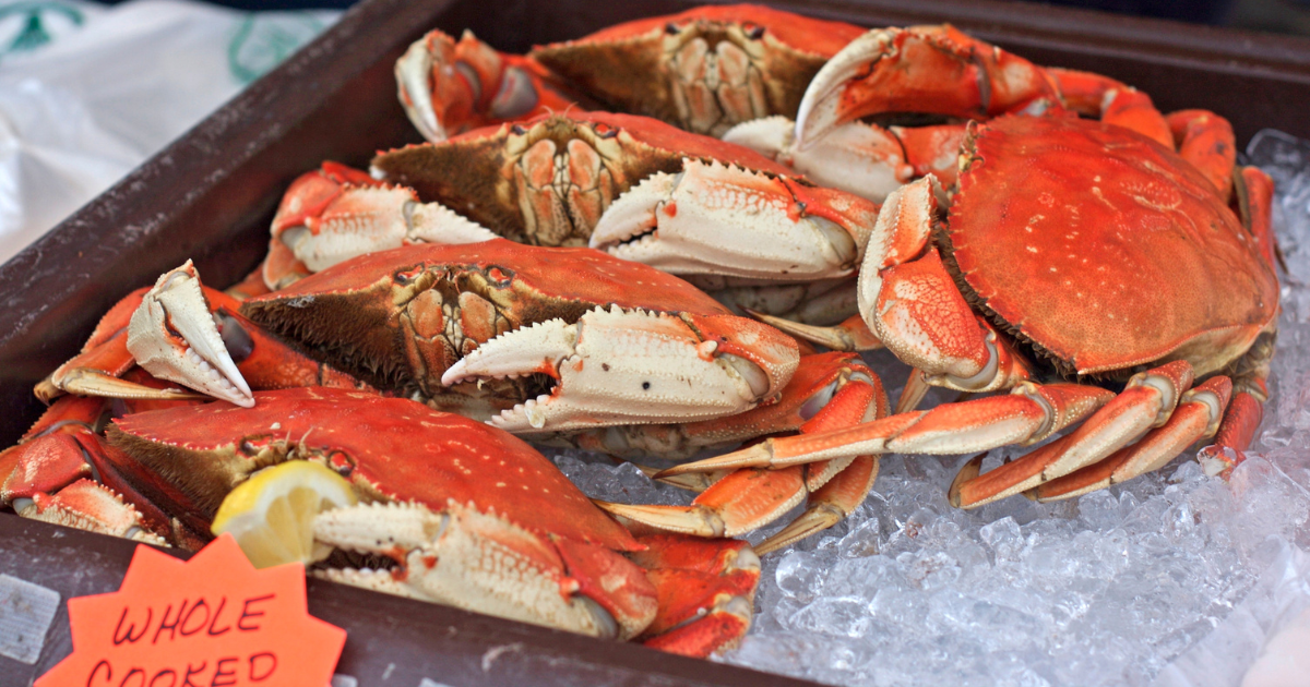 Find The Best Crab: Where to Buy Dungeness Near Me
