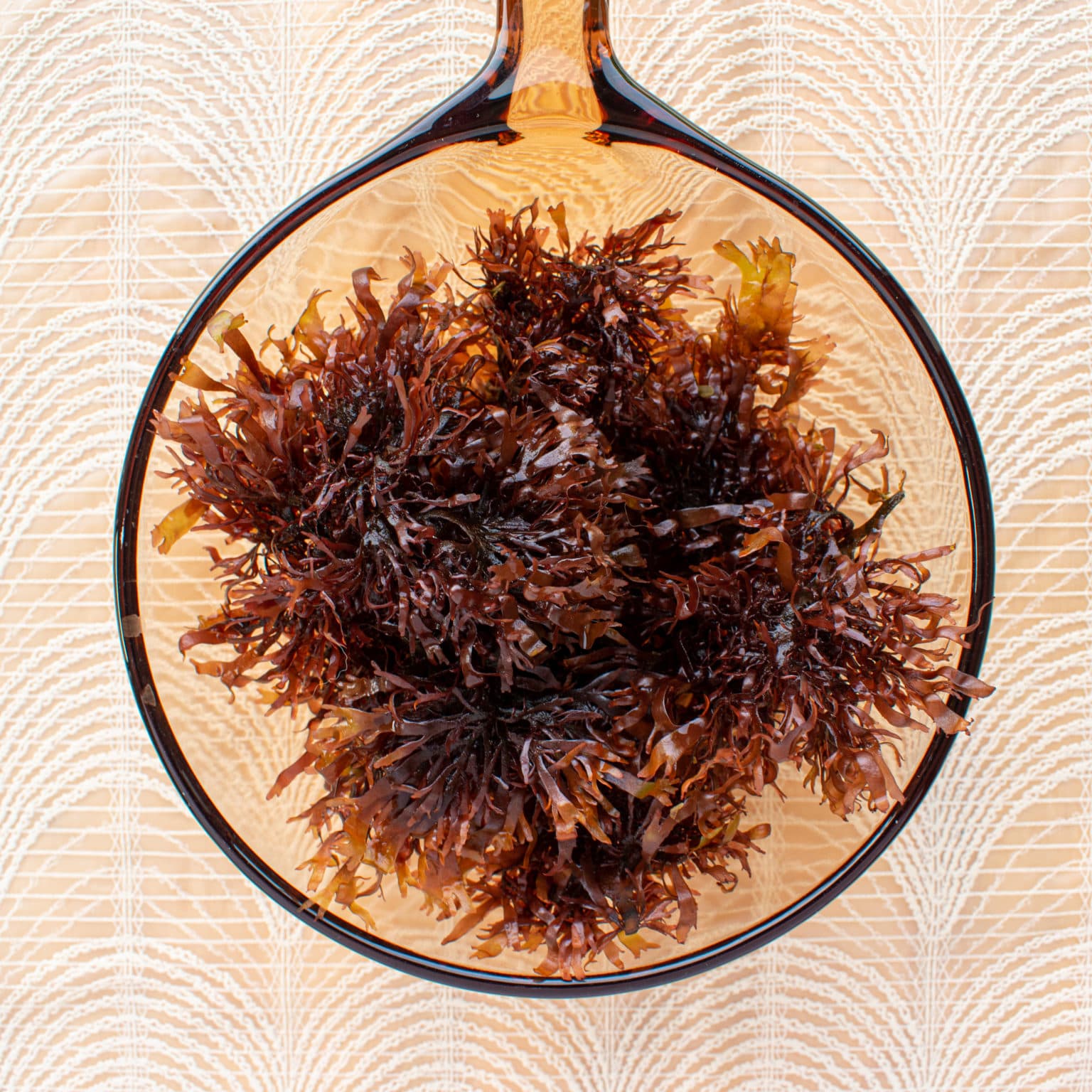 Place dulse in pot with a few tbsp water