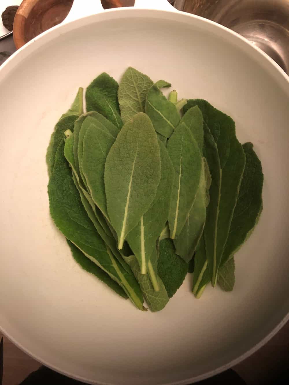 mullein leaf + root- wild foraged tinctured fresh - Buy Online | Foraged