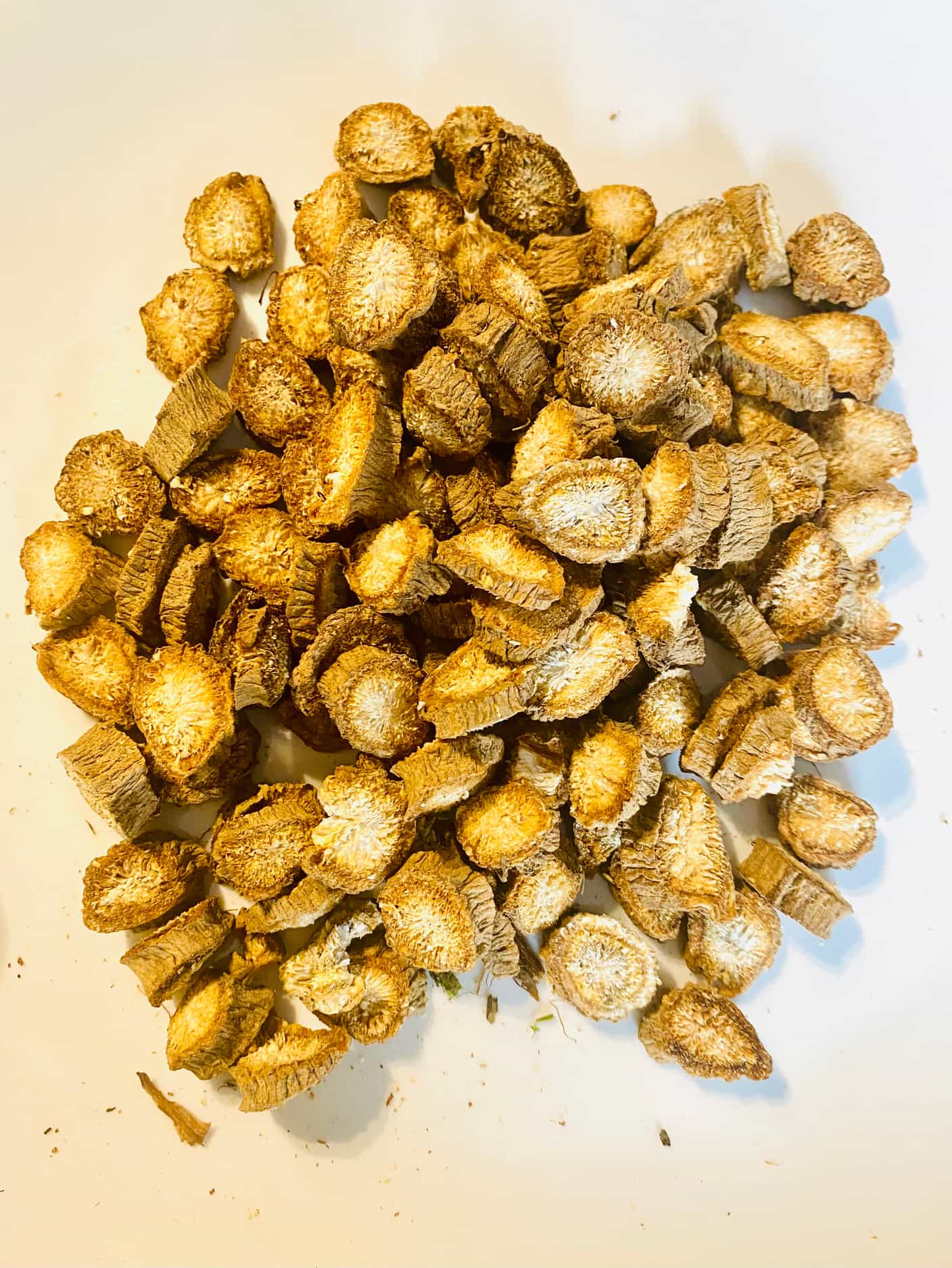 Dried Burdock Root - Buy Online | Foraged
