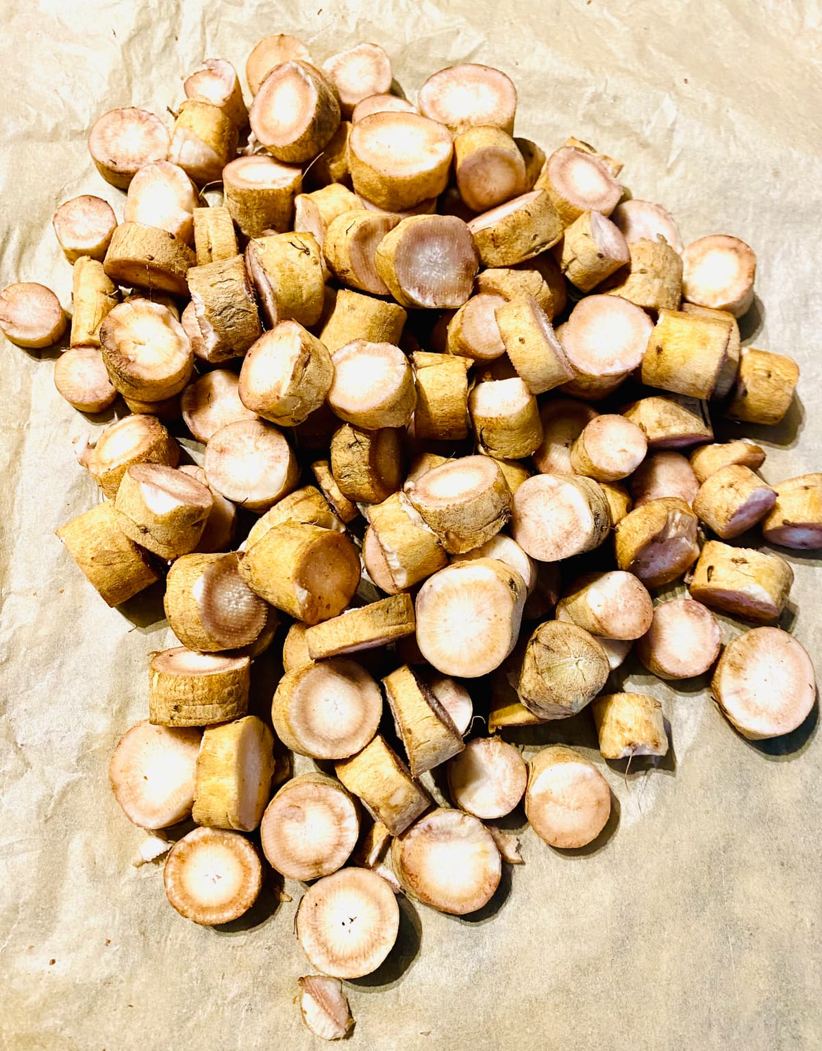 Dried Burdock Root - Buy Online | Foraged