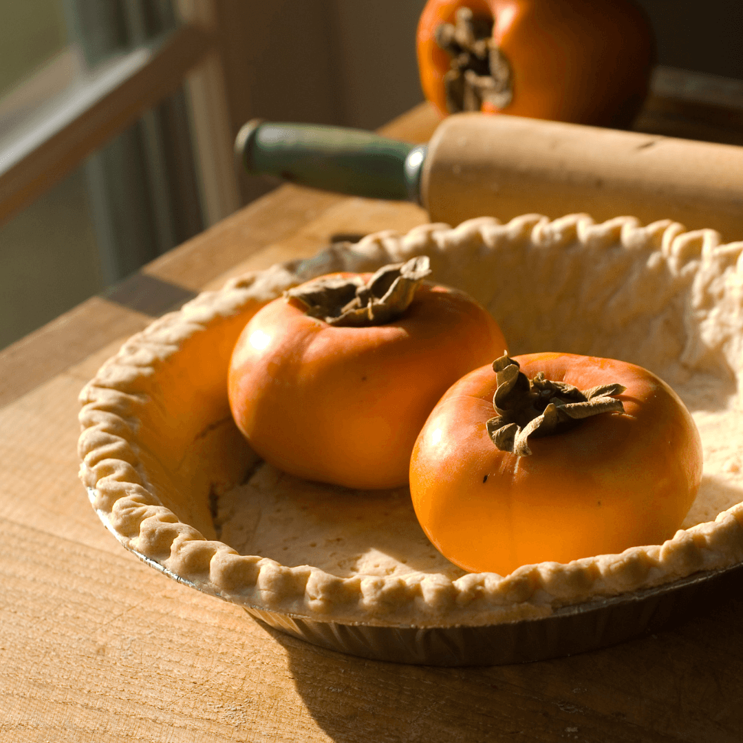 Homemade Fuyu Persimmon Pie - Foraged