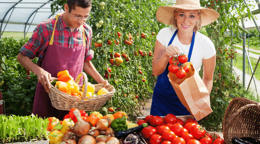 Local Items What Is Locally Sourced Food: A Guide To Better Eating - Foraged - Foraged