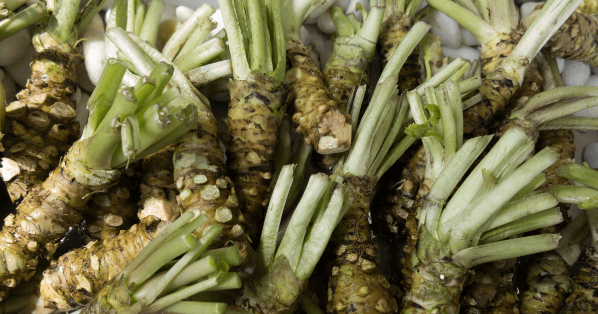 How Much is Wasabi Root? A Comprehensive Guide to Pricing and Quality ...